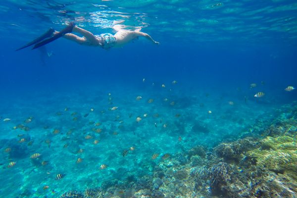 faire de la plongée aux philippines