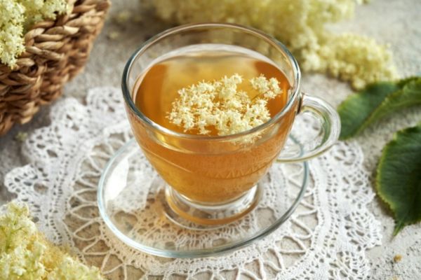 infusion de Fleur de sureau