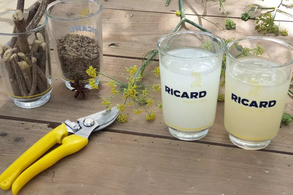 dosage ricard tout savoir