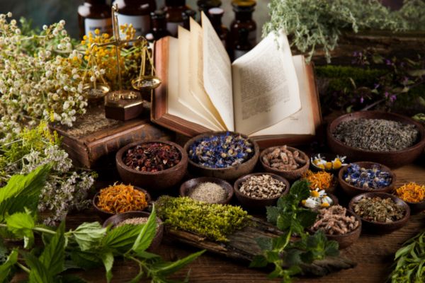 formation naturopathie