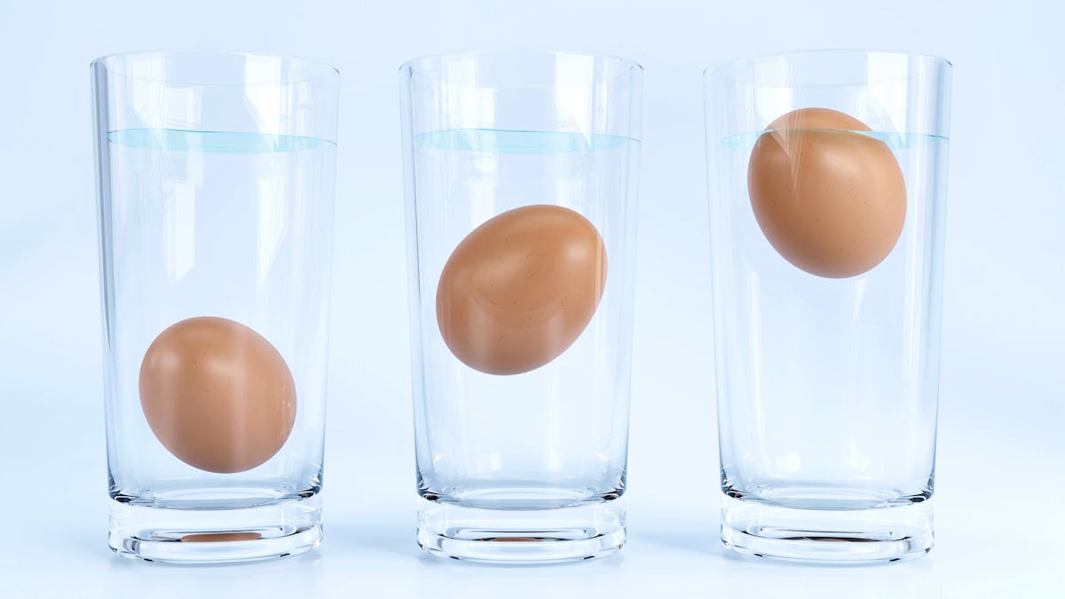 oeuf qui flotte