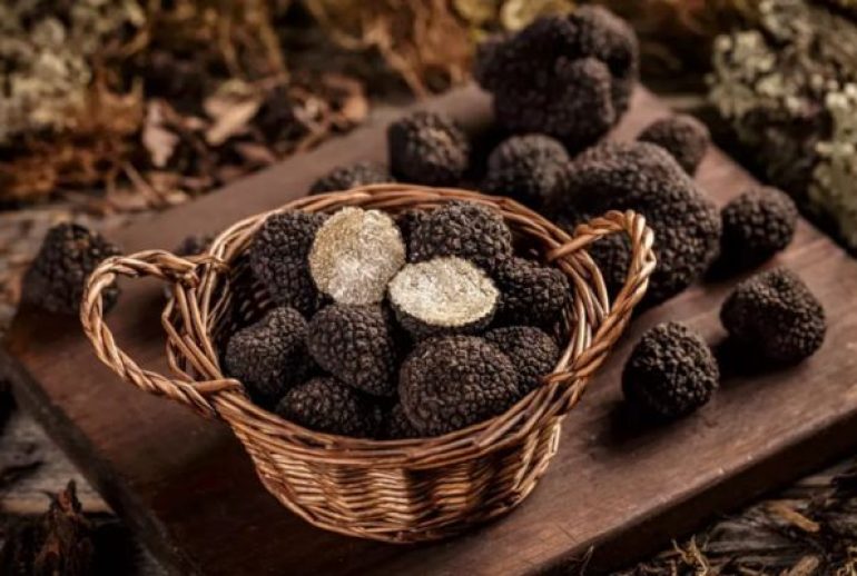 types de truffes