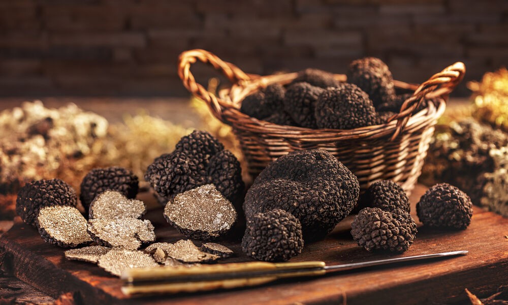 prix truffe