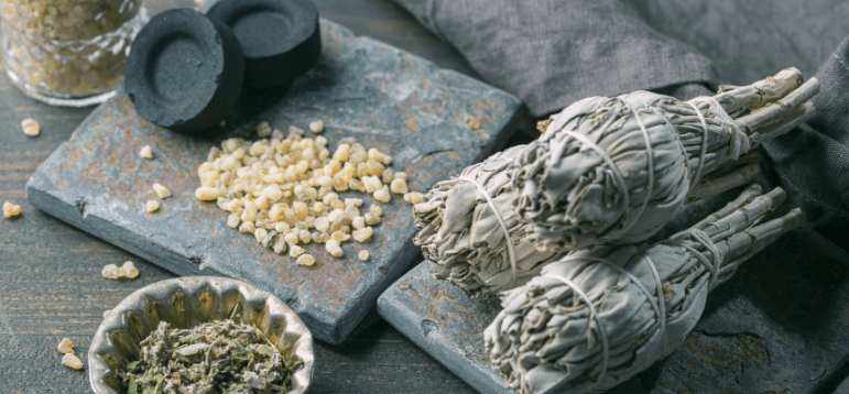les plantes pour purifier la maison